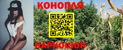 гашик Баксан
